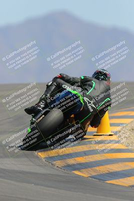 media/Apr-09-2023-SoCal Trackdays (Sun) [[333f347954]]/Turn 12 Backside (1pm)/